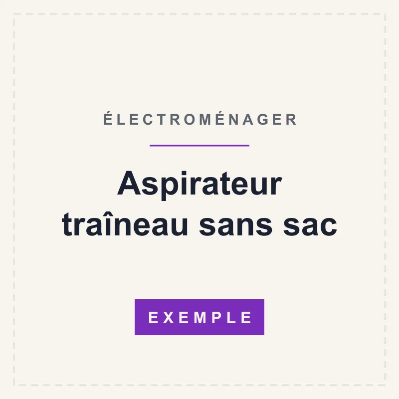 Aspirateur traîneau sans sac